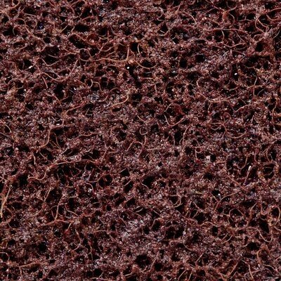 3M 7000141188 – BANDE ABRASIVE DE TRAITEMENT DES SURFACES À SUPPORT EN PELLICULE SCOTCH-BRITE(MC), A GROSSIER, 15,24 X 787,40 CM (6 X 310 PO)