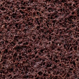 3M 7000141177 – BANDE ABRASIVE DE TRAITEMENT DES SURFACES À SUPPORT EN PELLICULE SCOTCH-BRITE(MC), A GROSSIER, 15,24 X 777,24 CM (6 X 306 PO)